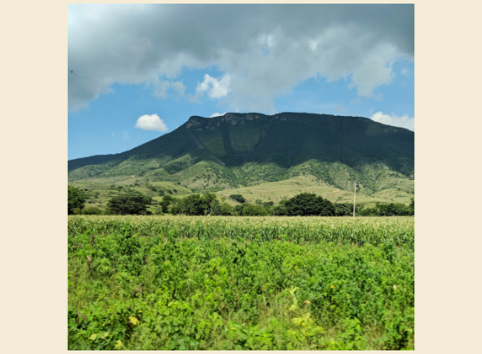 Mountain seen from the highway outside of Oaxaca City