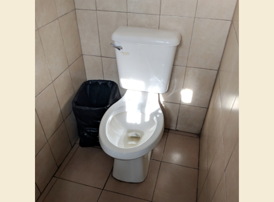 Toilet without a seat